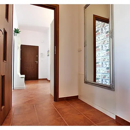Apartbaltic - Concha 42 슈비노우이스쳬